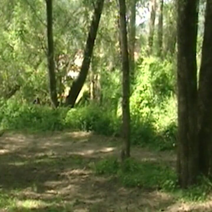 Drooling Deepthroat Fingers Gagging Till Tears Stream