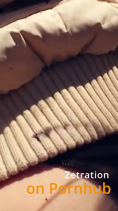 I'm just stuck in the woods in a tree! I didn't think he could do it!!