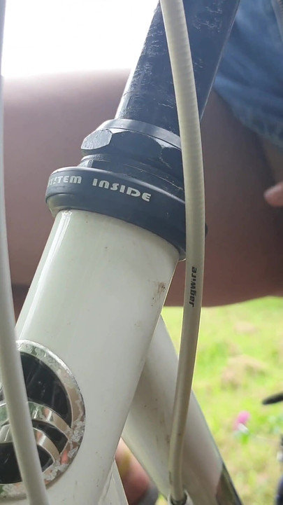 Stunning moment from "Busty Student ExpressiaGirl Fucks and Cums on a Bike in a Public Park!"