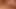 TSJF 1