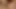 D porn game in the wild with beautiful ladies 18+ 2022
