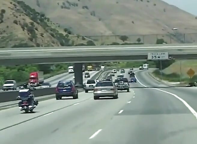 Chó cái trẻ cho lợn già