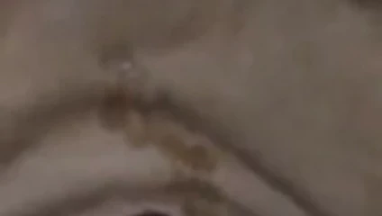 Güzel bir yükü ovalayarak.