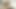 Masturbating my ass prolapsing a little amateur
