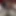 Sofia Cucci seks canlı şovunda zevk için çığlık atıyor