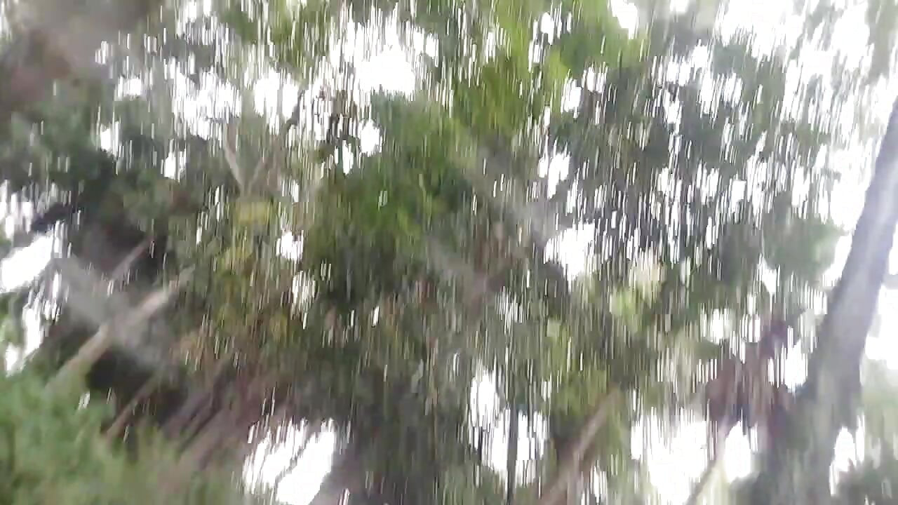 Desi gay tashjendar shemele forest handjob