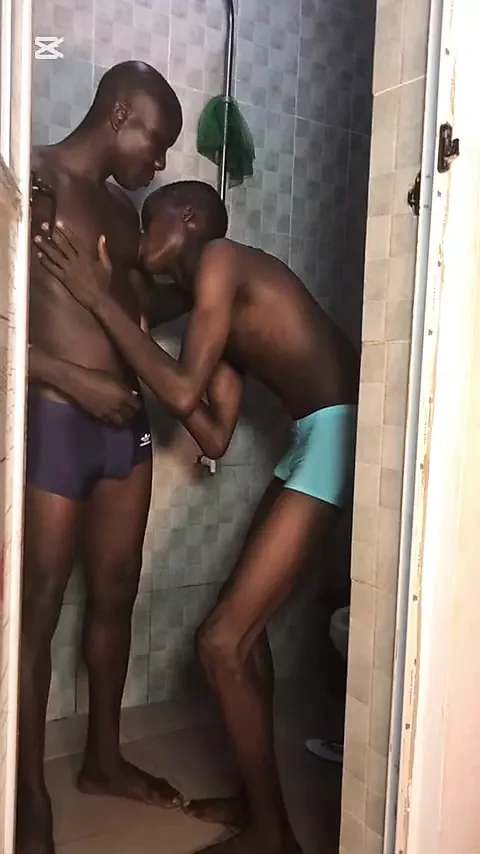 Beuken op zijn kleine stiefbroer