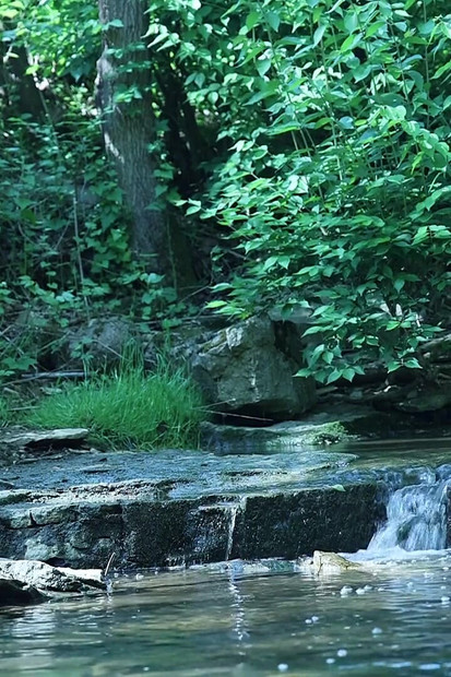 Flexing by the Waterfall, Trying to Sneak a Little Private Moment