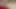 Götüme oyuncak sokmayı gerçekten seviyorum