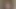 I will seduce you with my naked body in the shower, You want fuck my wet pussy and boobs. Do you like my transparent top?