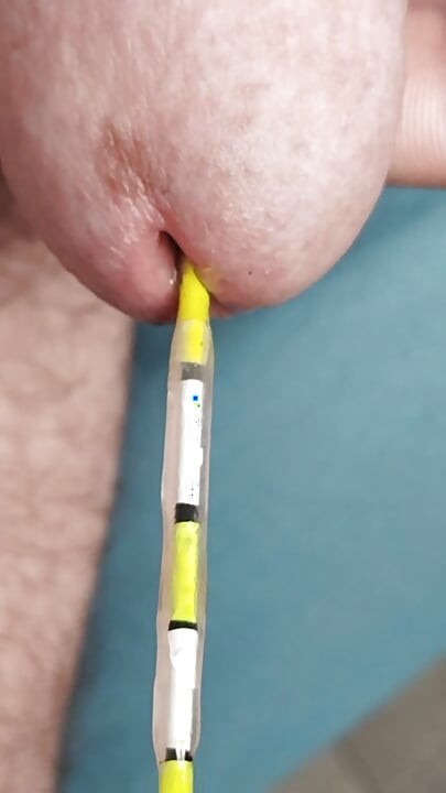 plutati