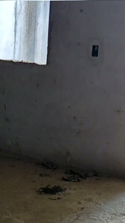 Girl Tight To Pee Enters Abandoned Building And Has Sex With Beggar With A Big Dick | Clip 1