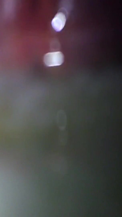来自“阿迪达斯杰里米·斯科特运动鞋爱我的精液的必分享时刻 - 第2部分”