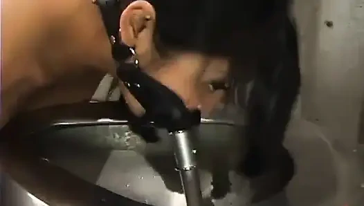 Mark Davis, Mika Tan and Alex Sanders