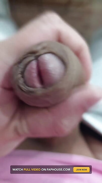 The Head of My Penis