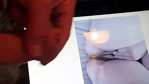 Sıcak kedi haraç
