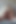 大きな丸いお尻を持つ彼女がおもちゃでオナニーをしている