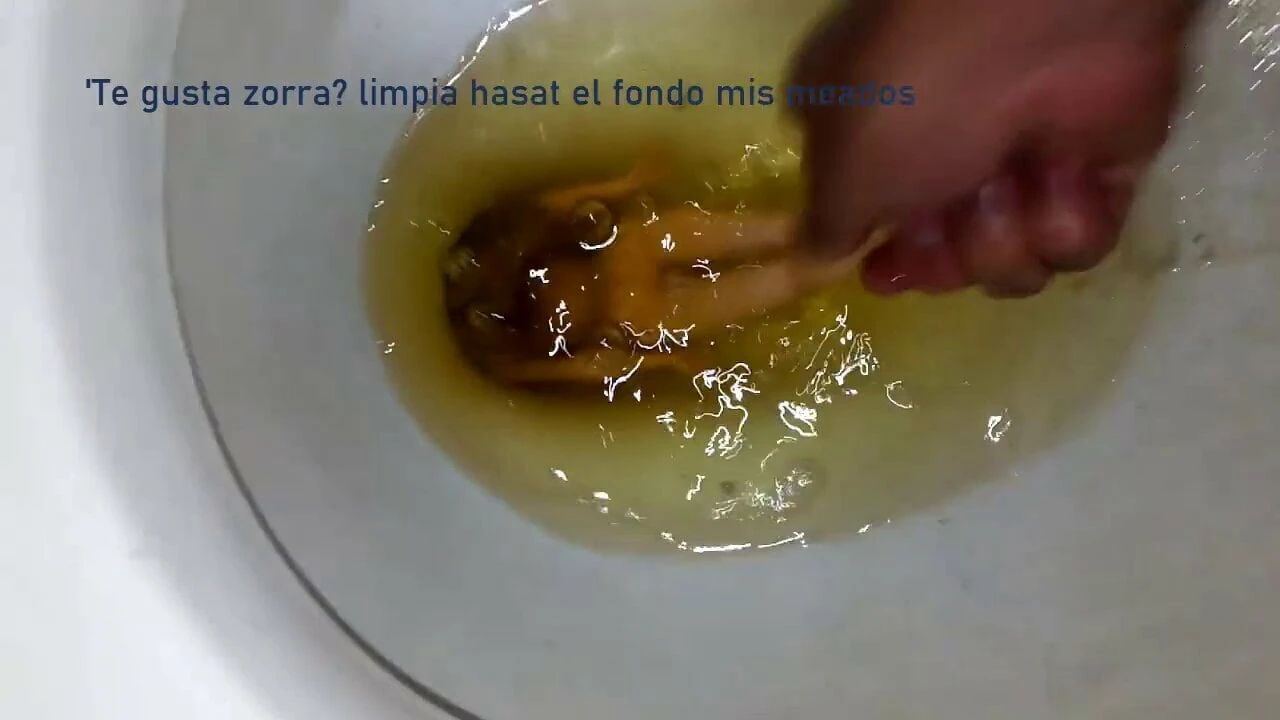 Stephanie piscina dorada