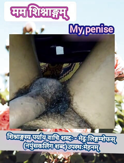 Penis bun