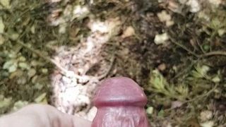 POV risky jerking in public forest with massive cumshot