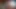 cum drop video one