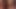Homosexuelle Muskel-Typen ficken und tauschen etwas Sperma aus