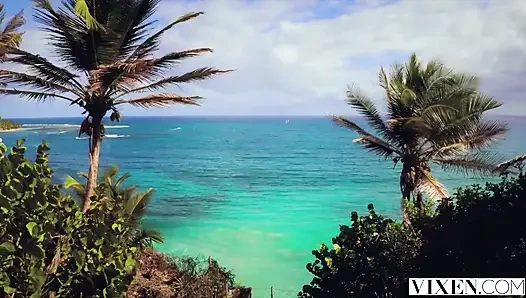 Vixen - Bertemu Orang Baru