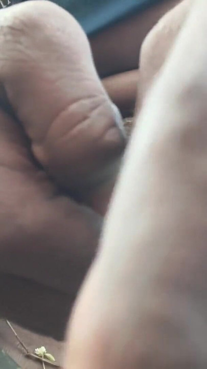 The was very erect, so I shook it | Clip 1