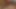 私が絶頂するまで彼女の手と口で私のコックを指で弄る