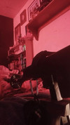 Pregled videozapisa
