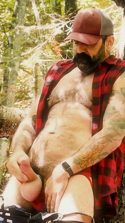 Koad - the Un Bear