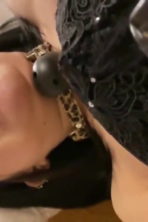 Asian Angel 23441