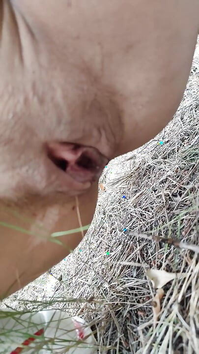 dubli kamsin jangal men moot rahi hai