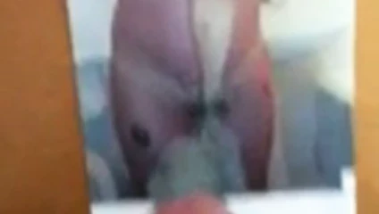 haraç