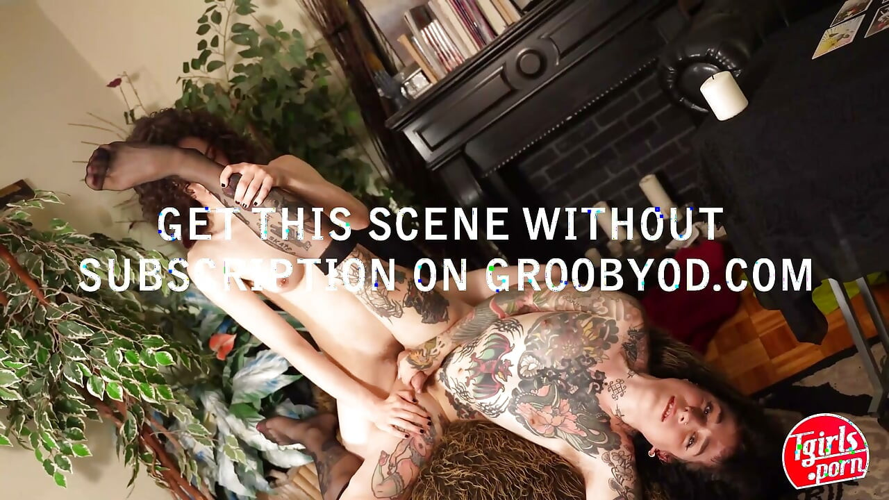 TGIRLS PORN Brunette Trans Performers in Stockings Enjoy Mutual Oral on Fur Rug