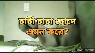 Bangladesh chica caliente con gran culo en sari follada duro por el amigo del esposo