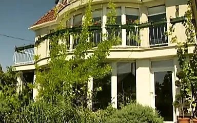 Desperate Househusbands (1)