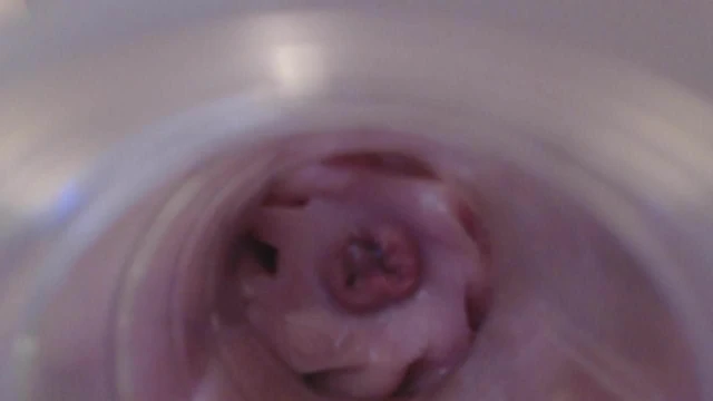 Internal Fleshlight Cum 2.