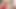 Dove cameron sexy red dresses