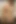 Blonde big ass flat titted chick in stockings masturbating