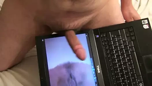 Tributo reklamı