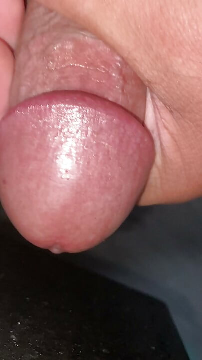 I've got a big cock, I'm horny, I'm looking for someone to suck it, or maybe I'm going to put it in someone's mouth