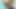 Büyük Hint testiler