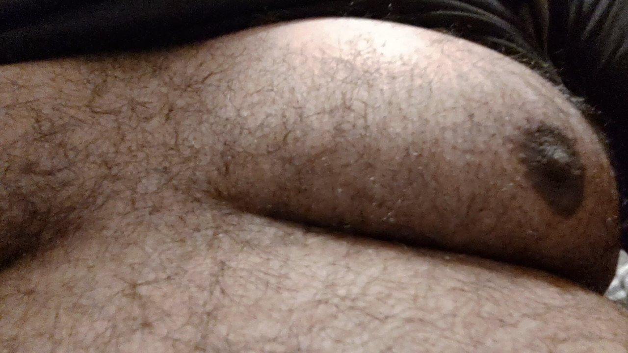 Hairy Bear Breast