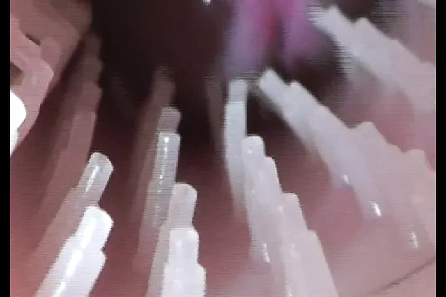 orgazm