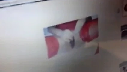 tributo per vealipogel