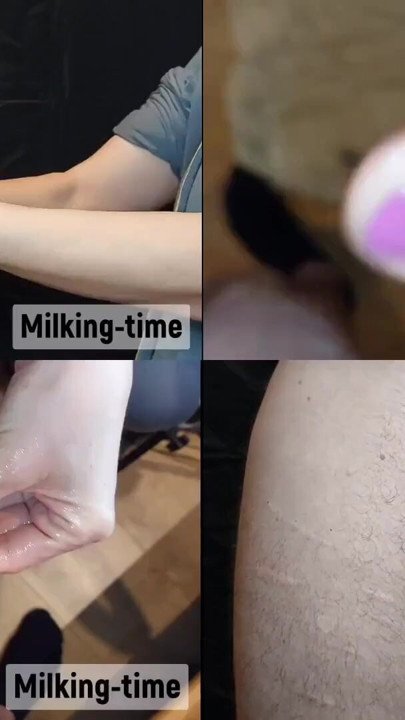 Momento cativante de "Há paus em todos os lugares! Compilação em tela dividida 2 (hora de ordenha)"