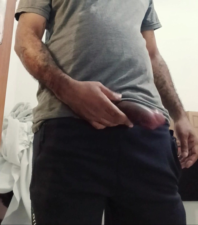 Pau pump gay.