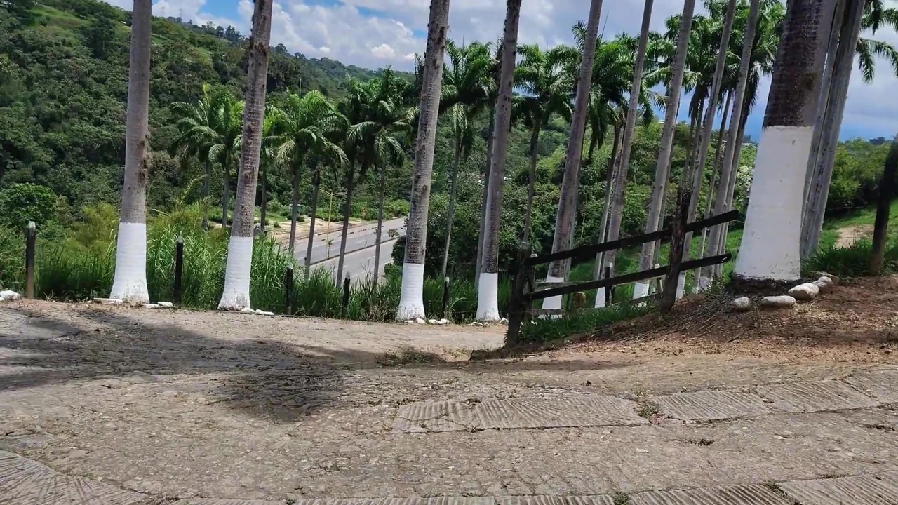 fucking outdoor the public pool with my bbc and then we make a cuckold threesome with creampies