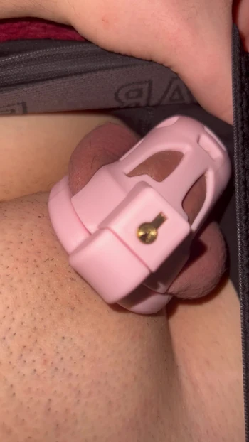 My new cage 😍